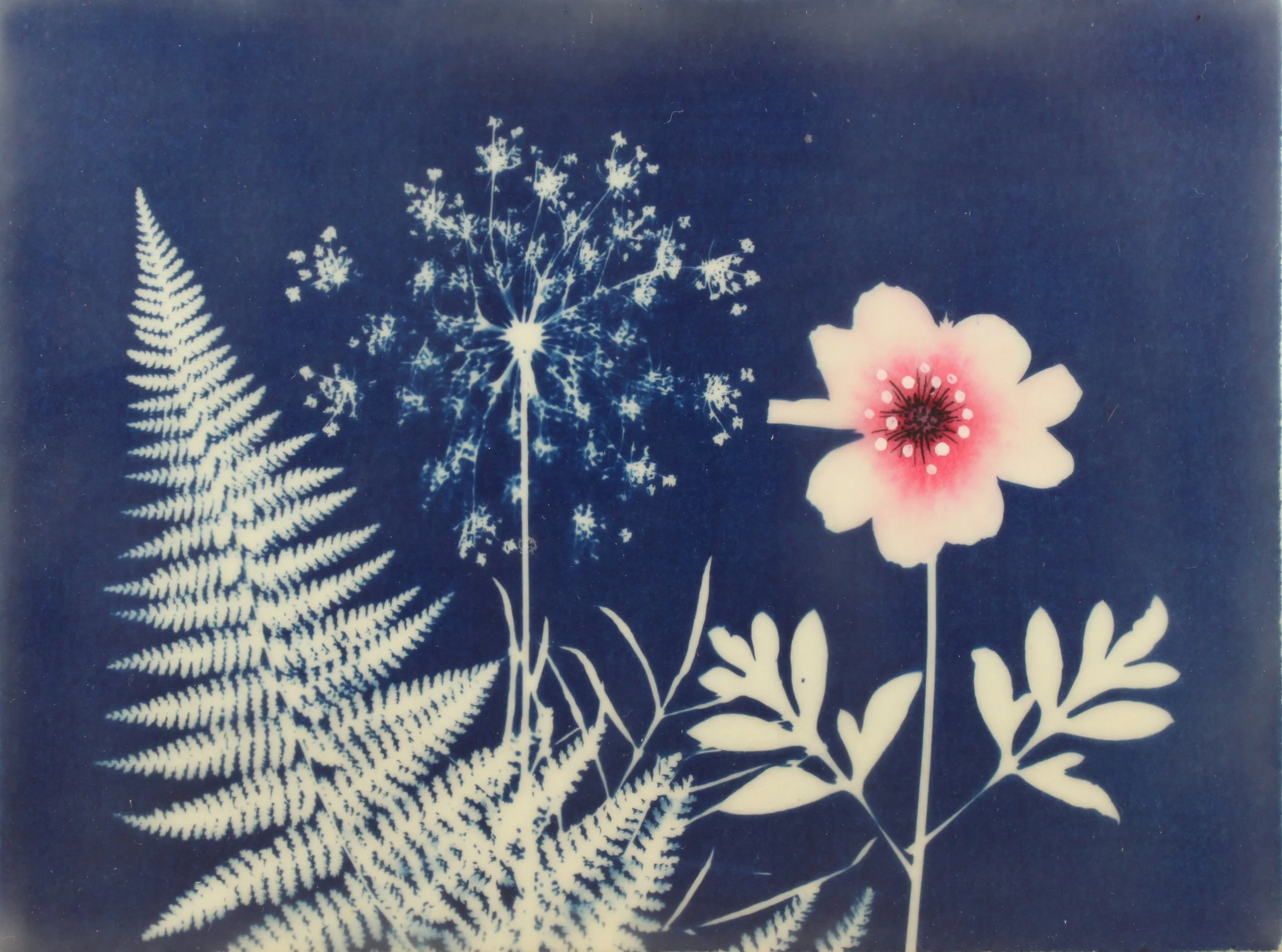 Cyan Garden #15048