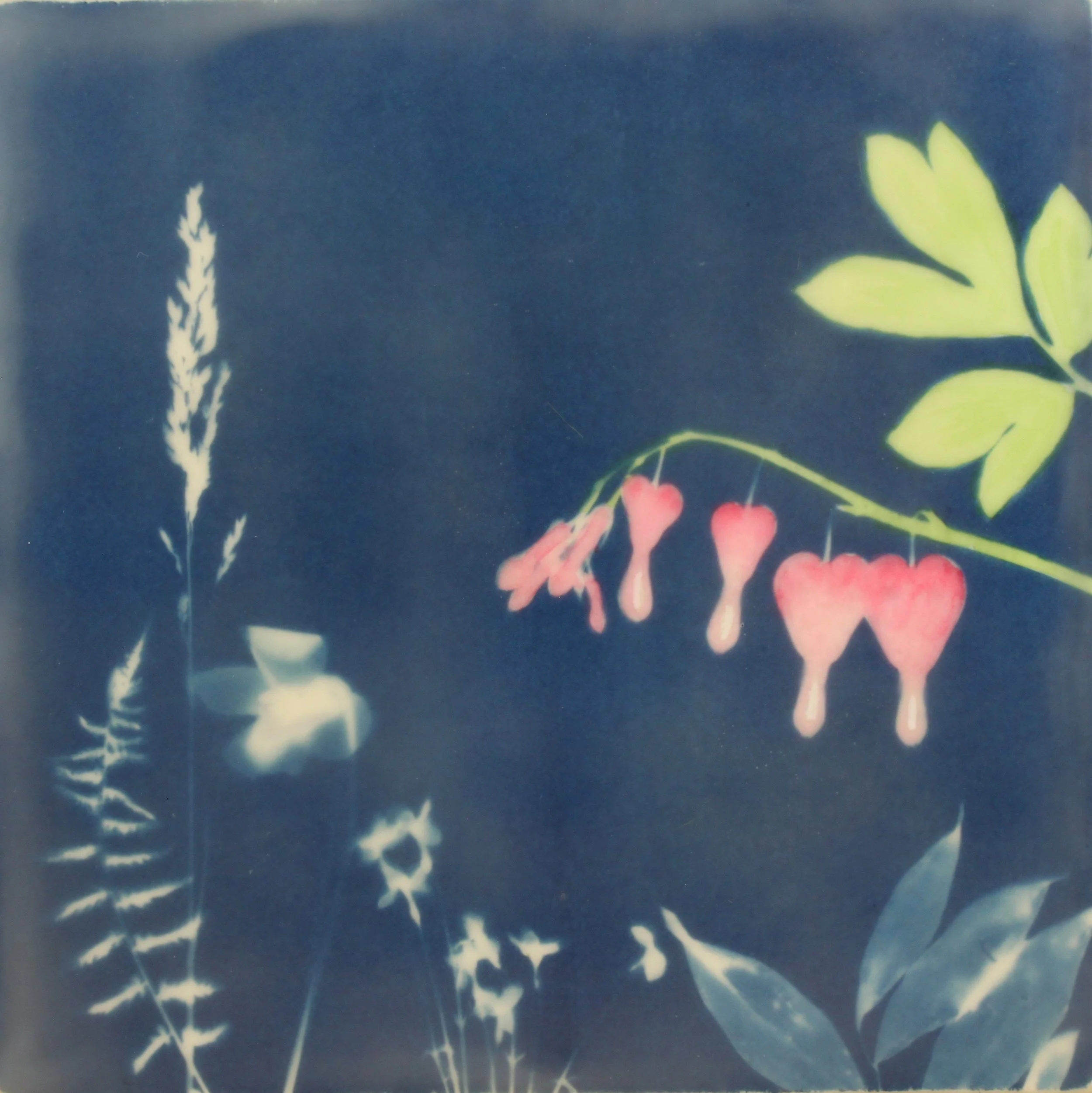 Cyan Garden #15152