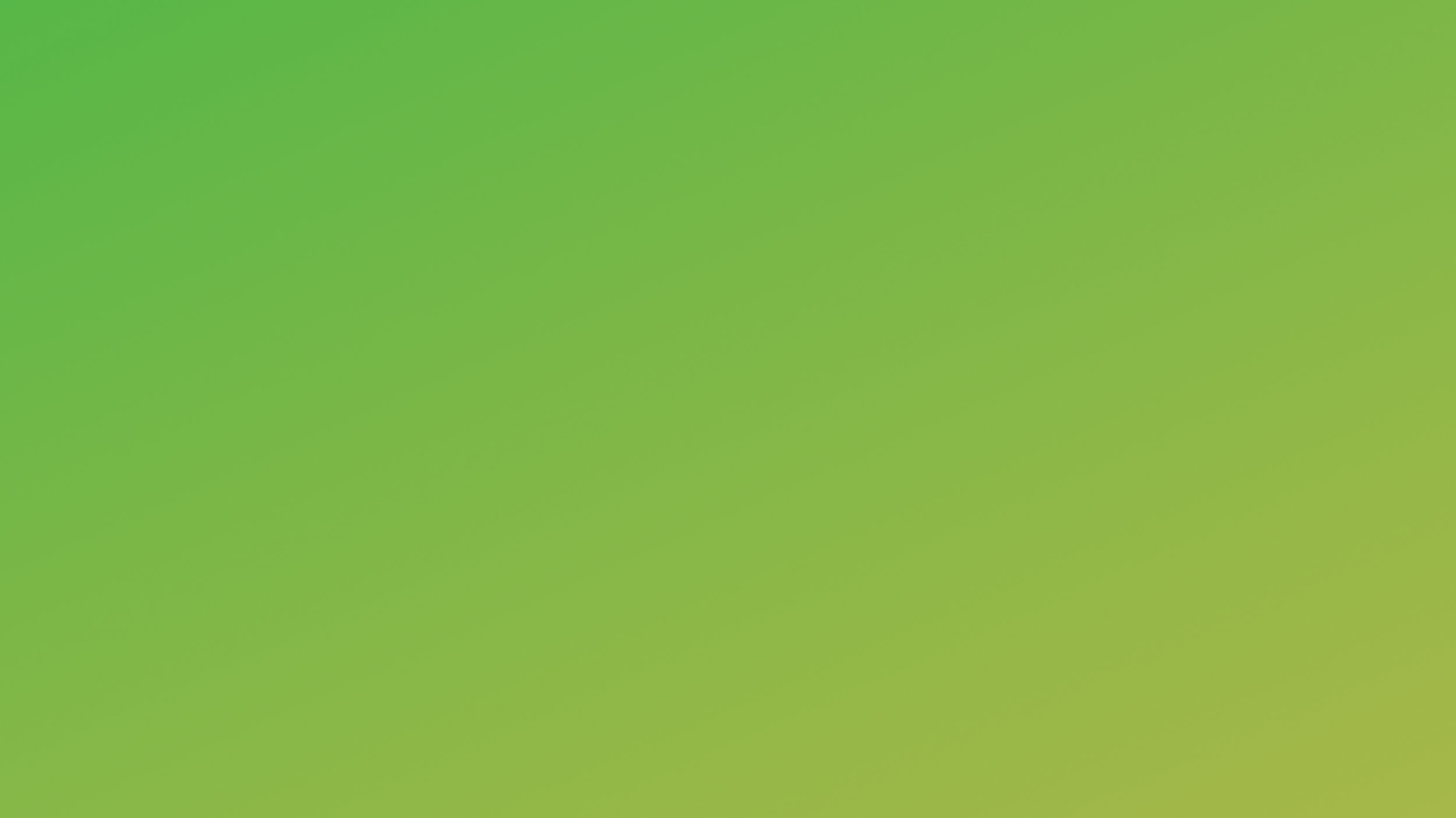 bg-color.jpg