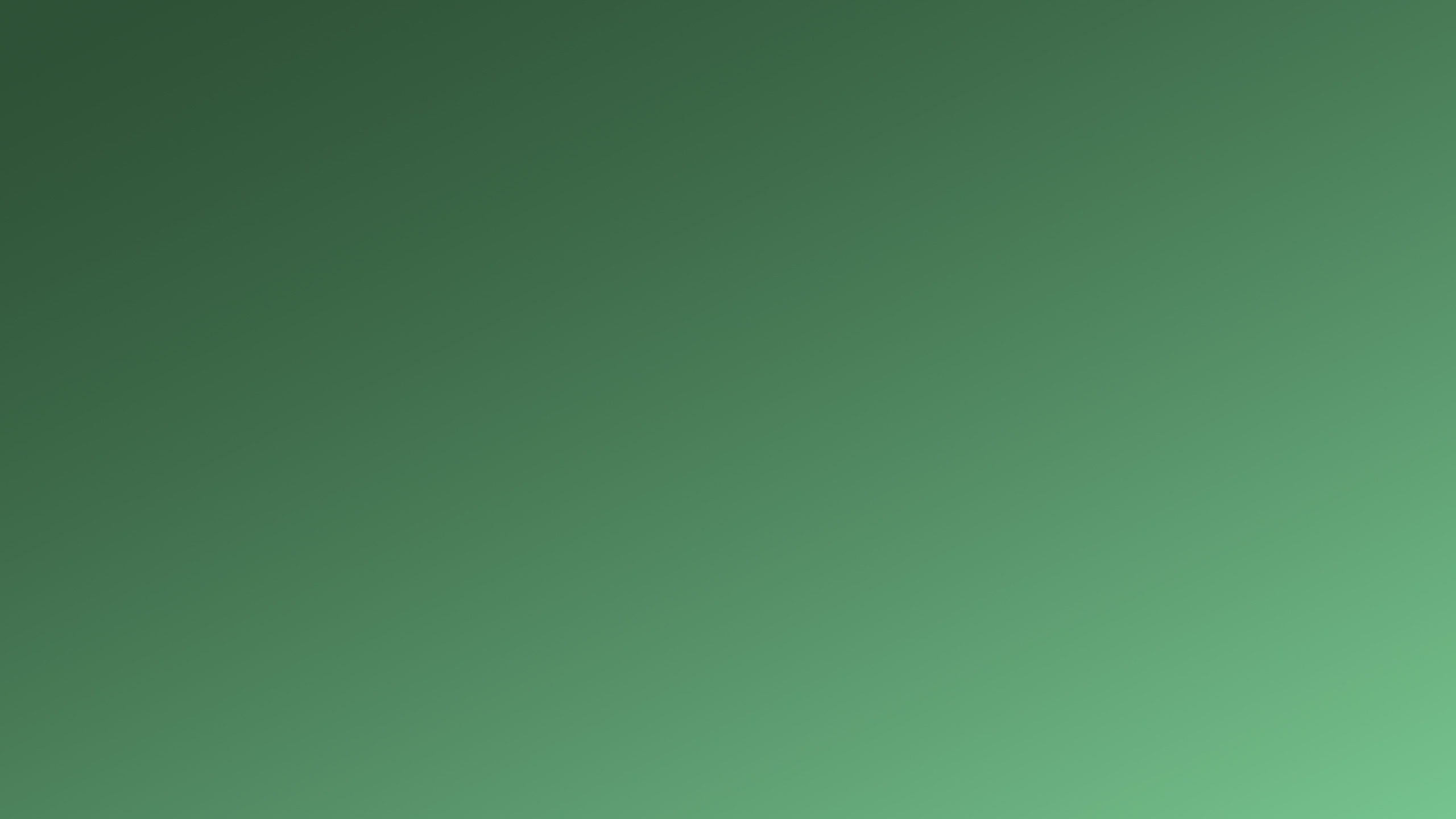 bg-color.jpg