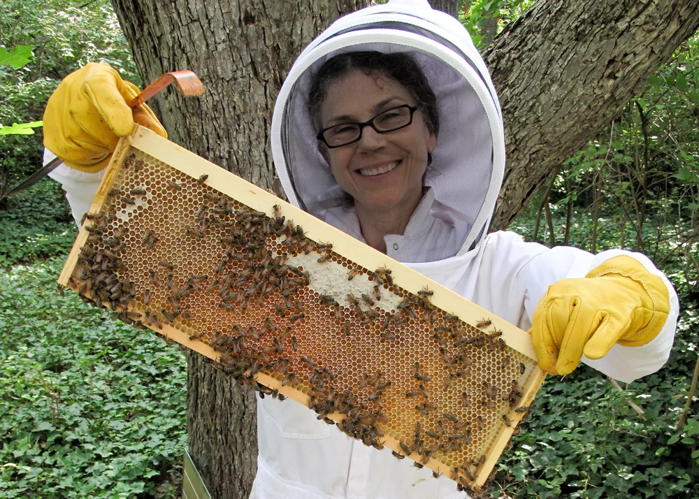 My mother tending her honeybees