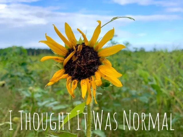 I Thought It Was Normal