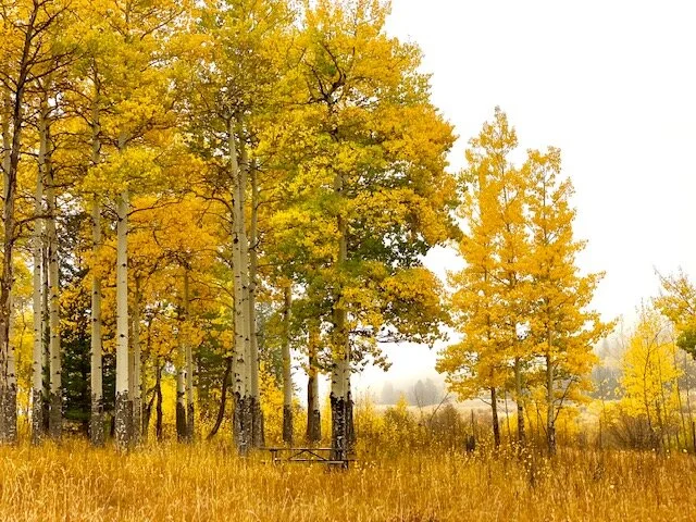 Rocky Mountain National Park