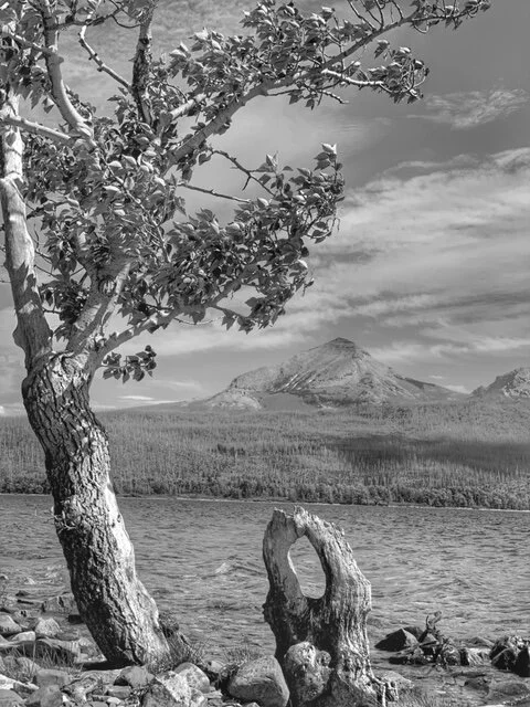 Glacier National Park, Montana