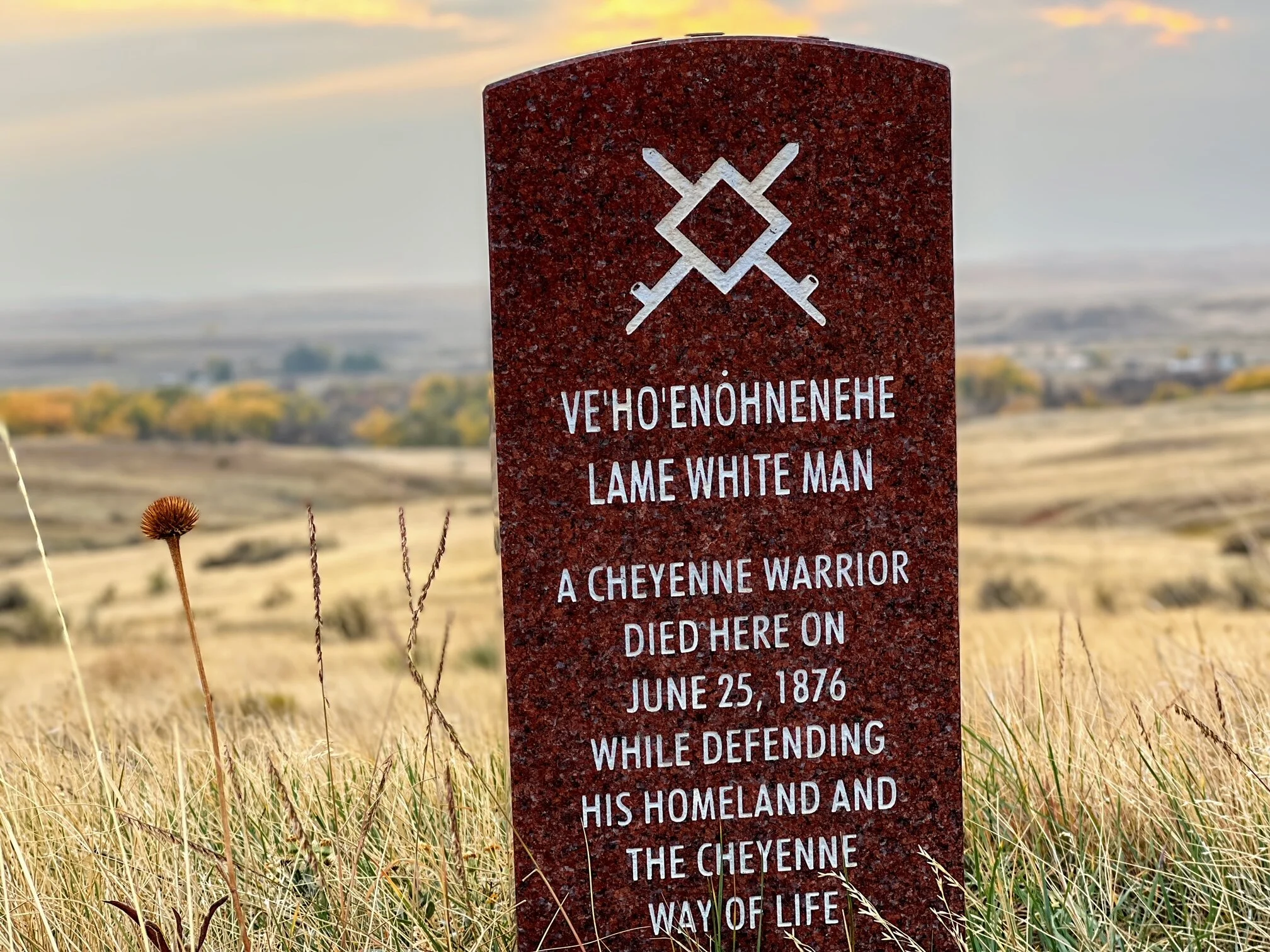 Battle of Little Big Horn 