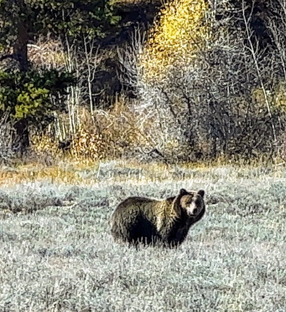  Grand Teton National Park 