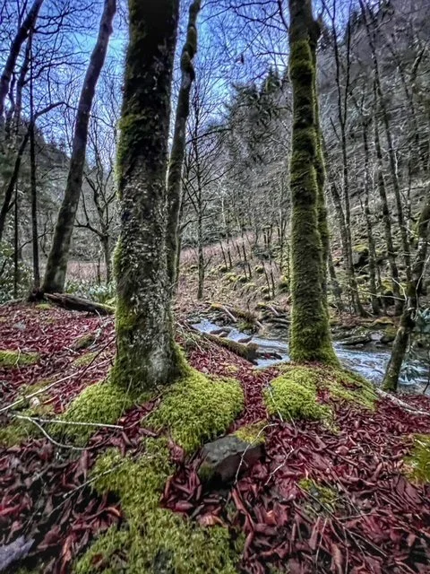  Smoky National Park 2022 