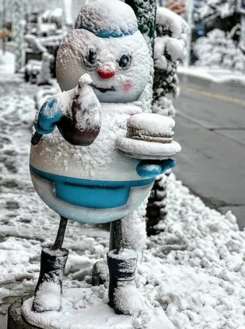  Gatlinburg  Jan. 2022 