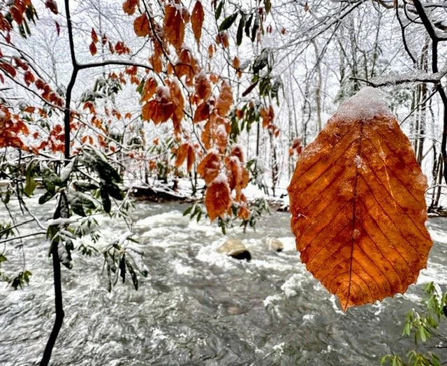  Gatlinburg Jan. 2022 