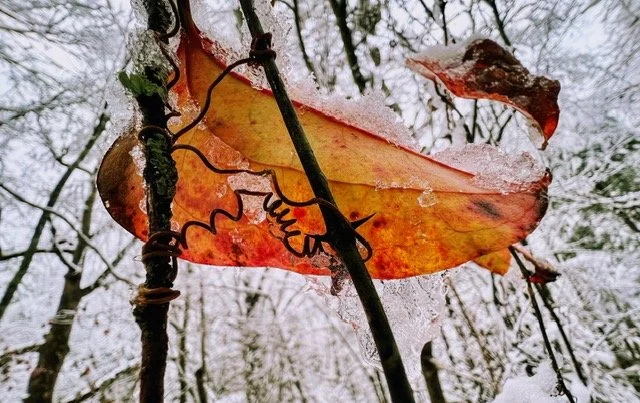  Gatlinburg Jan. 2022 