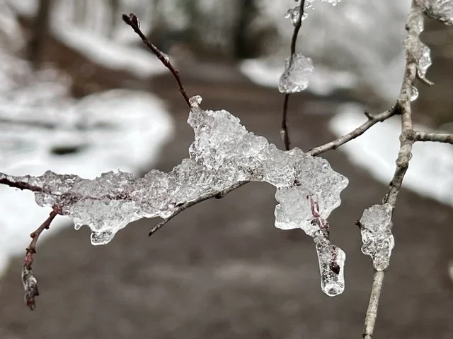  Gatlinburg Jan. 2022 