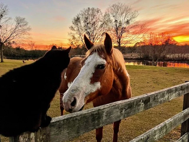  Baldwin Count Jan. 2022   