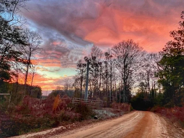  Outside of Dothan Jan 2022 