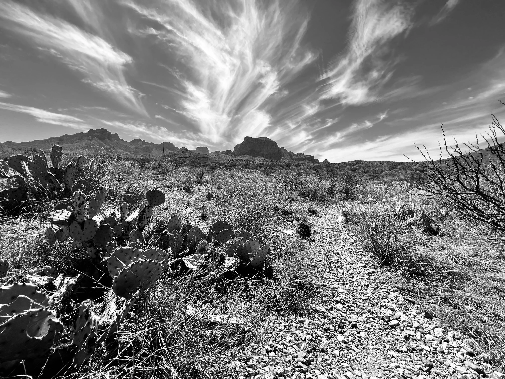  Big Bend National Park 2022 