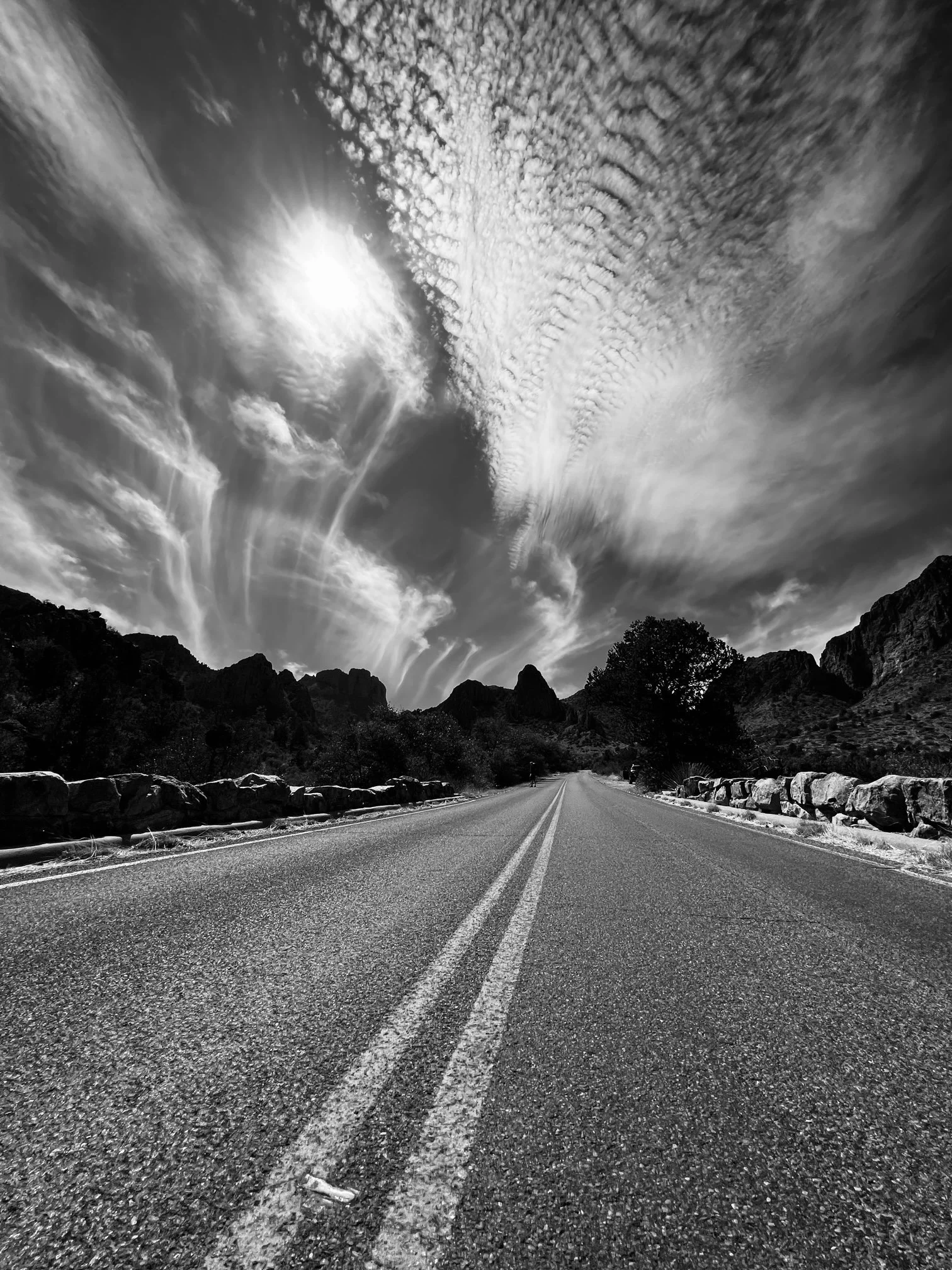  Big Bend National Park 2022 