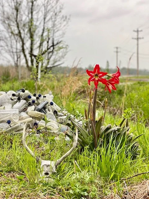  Yazoo County, April 2022 