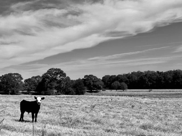  North Alabama 10/22/22 