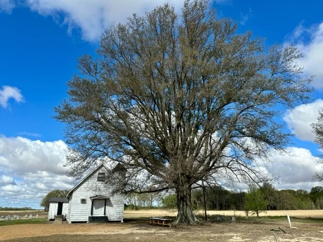  Back Rent Plantation  