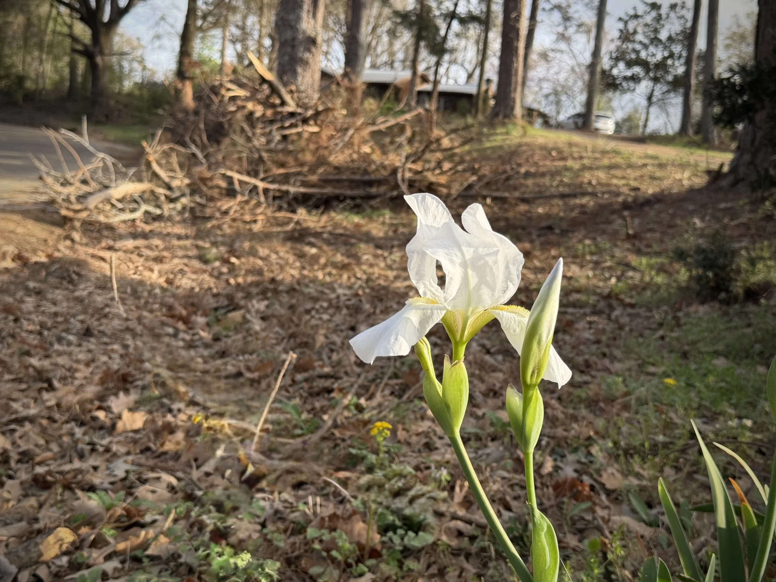 One These Days in March