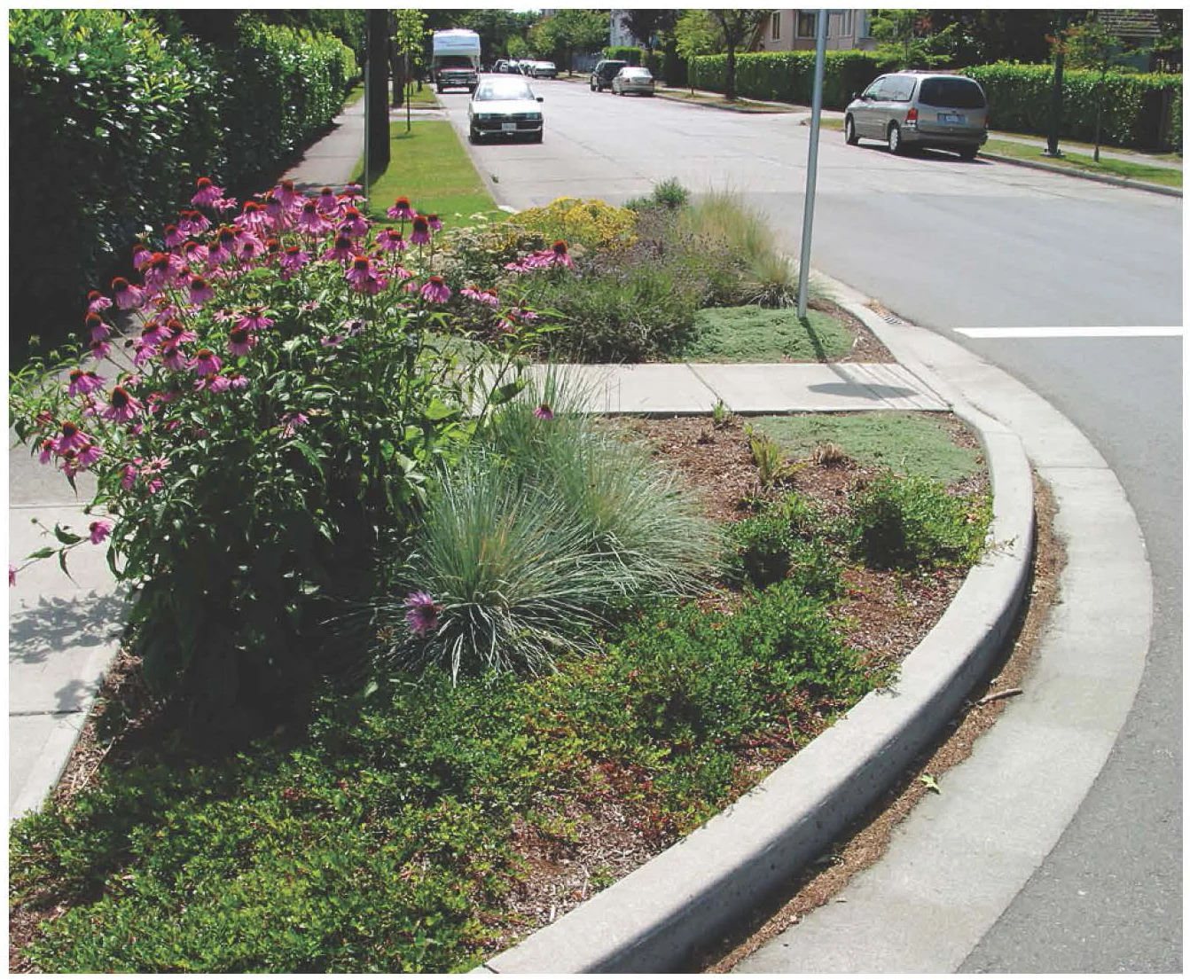 102 Avenue and 83 Avenue Bike Route public workshops: design refinements and landscaping