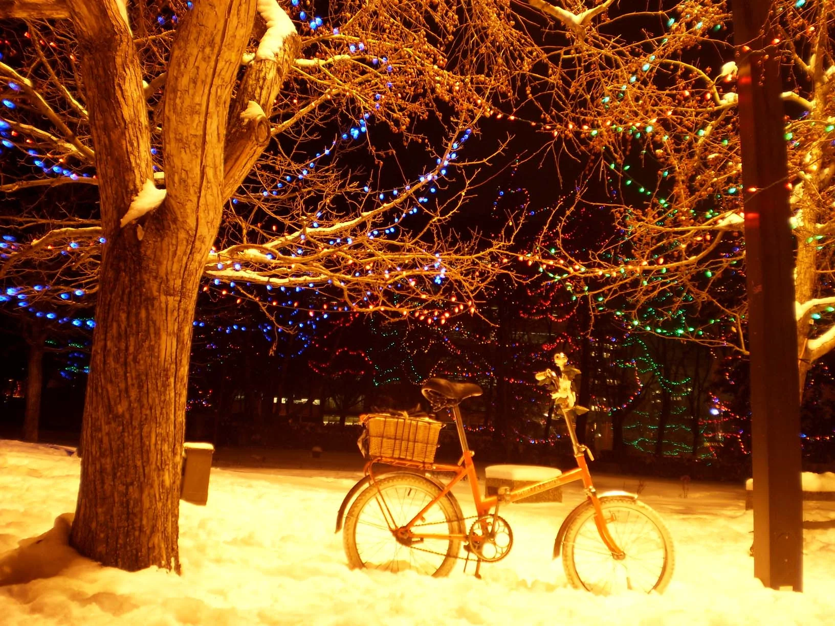 BikeWorks Holiday Hours