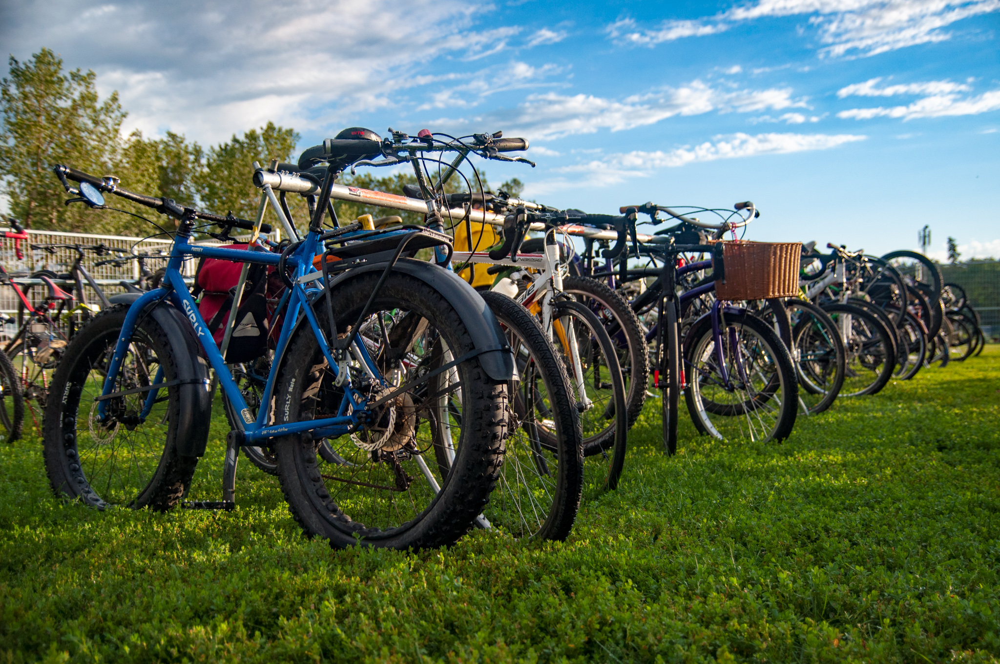 Volunteer at the Edmonton Folk Music Festival or Interstellar Rodeo