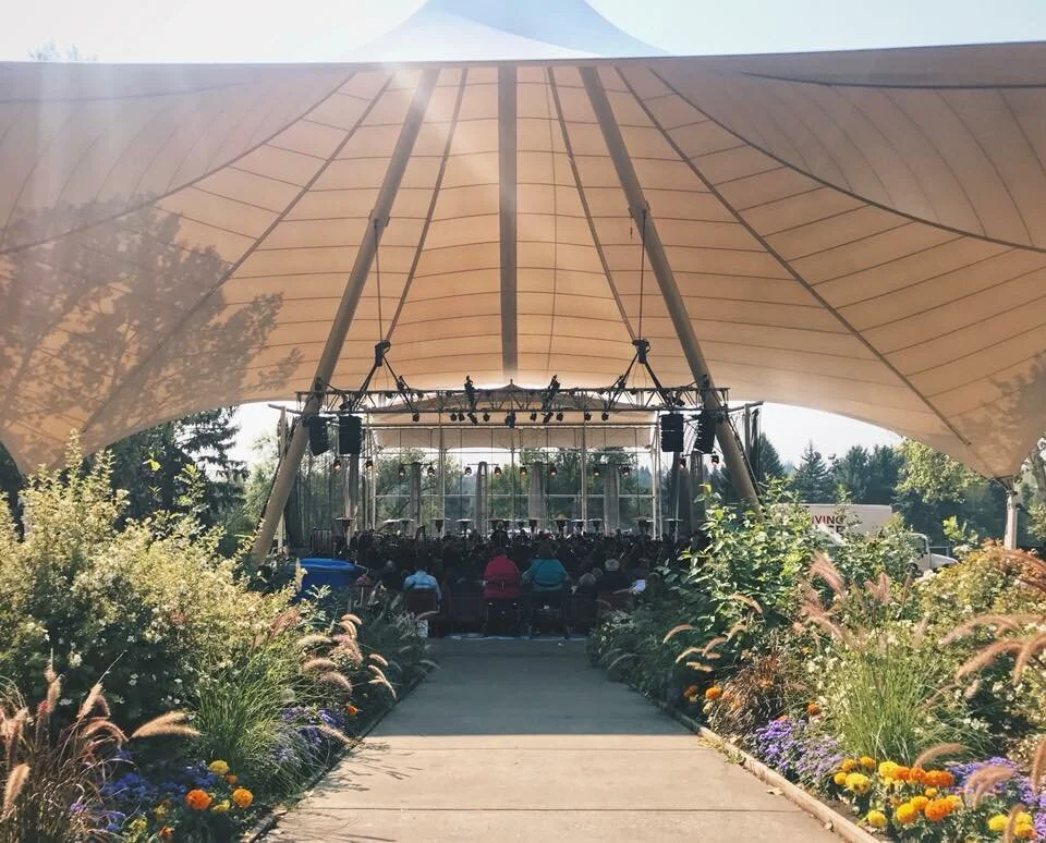 Free passes to Symphony Under the Sky 2021