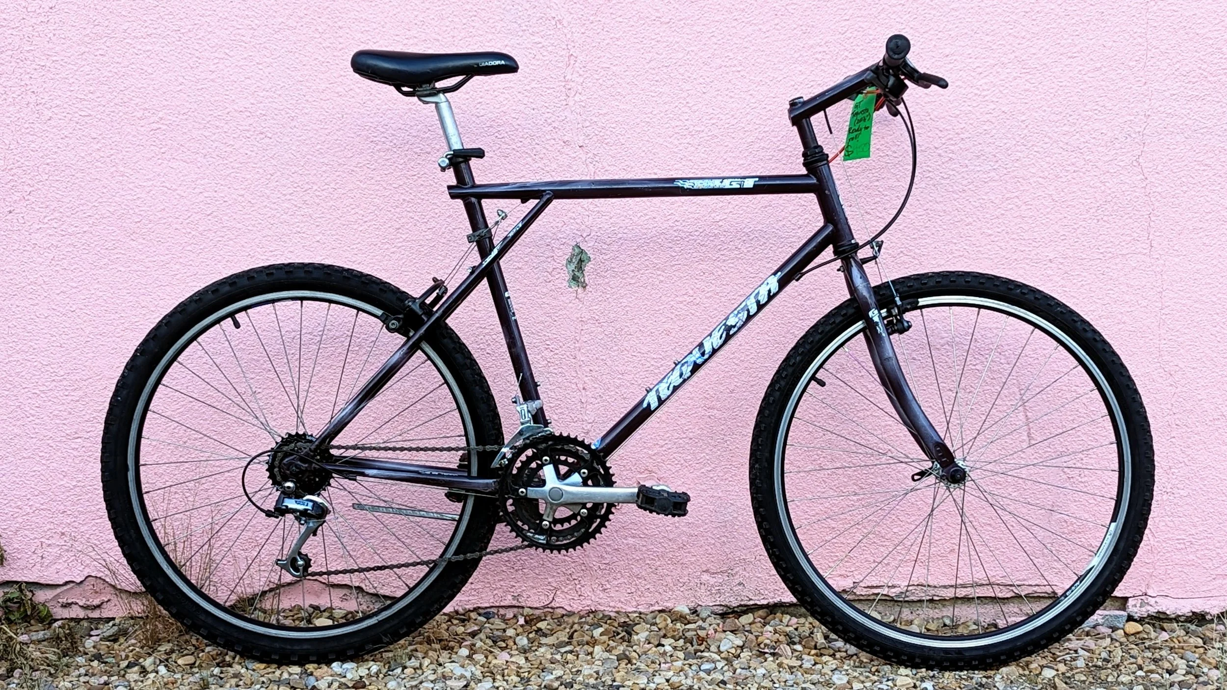 Large Bikes for Sale — Bike Edmonton