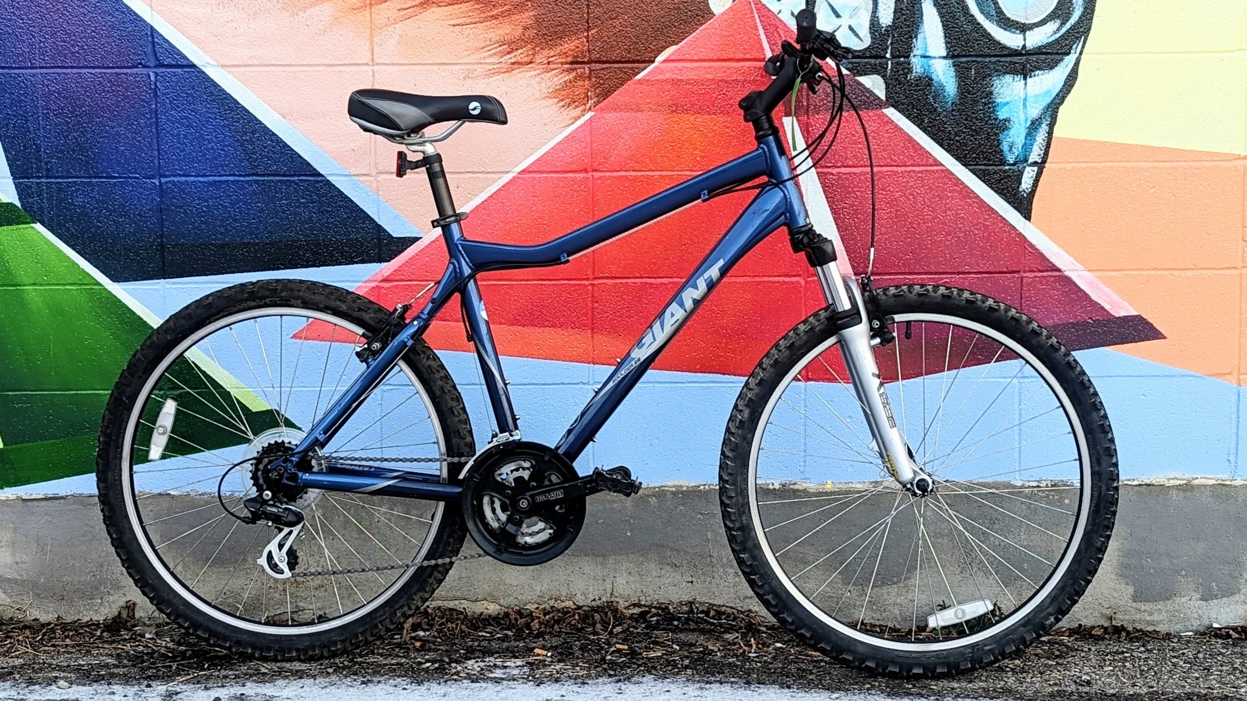 Large Bikes for Sale — Bike Edmonton