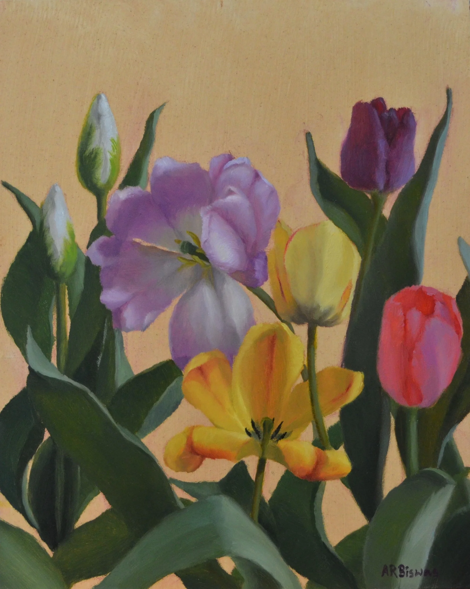 Tulips