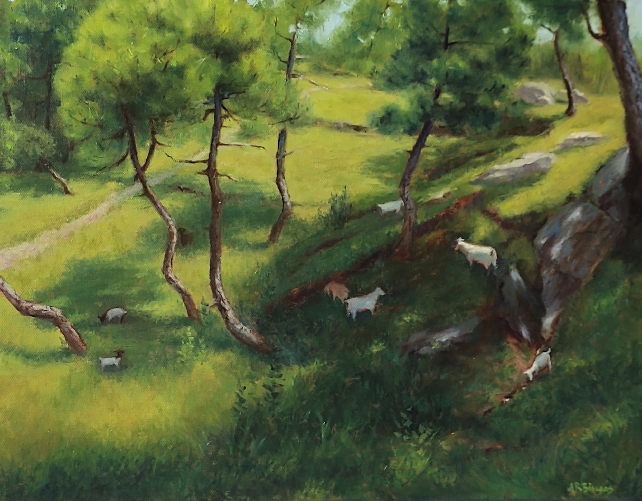 Grazing on the hill top