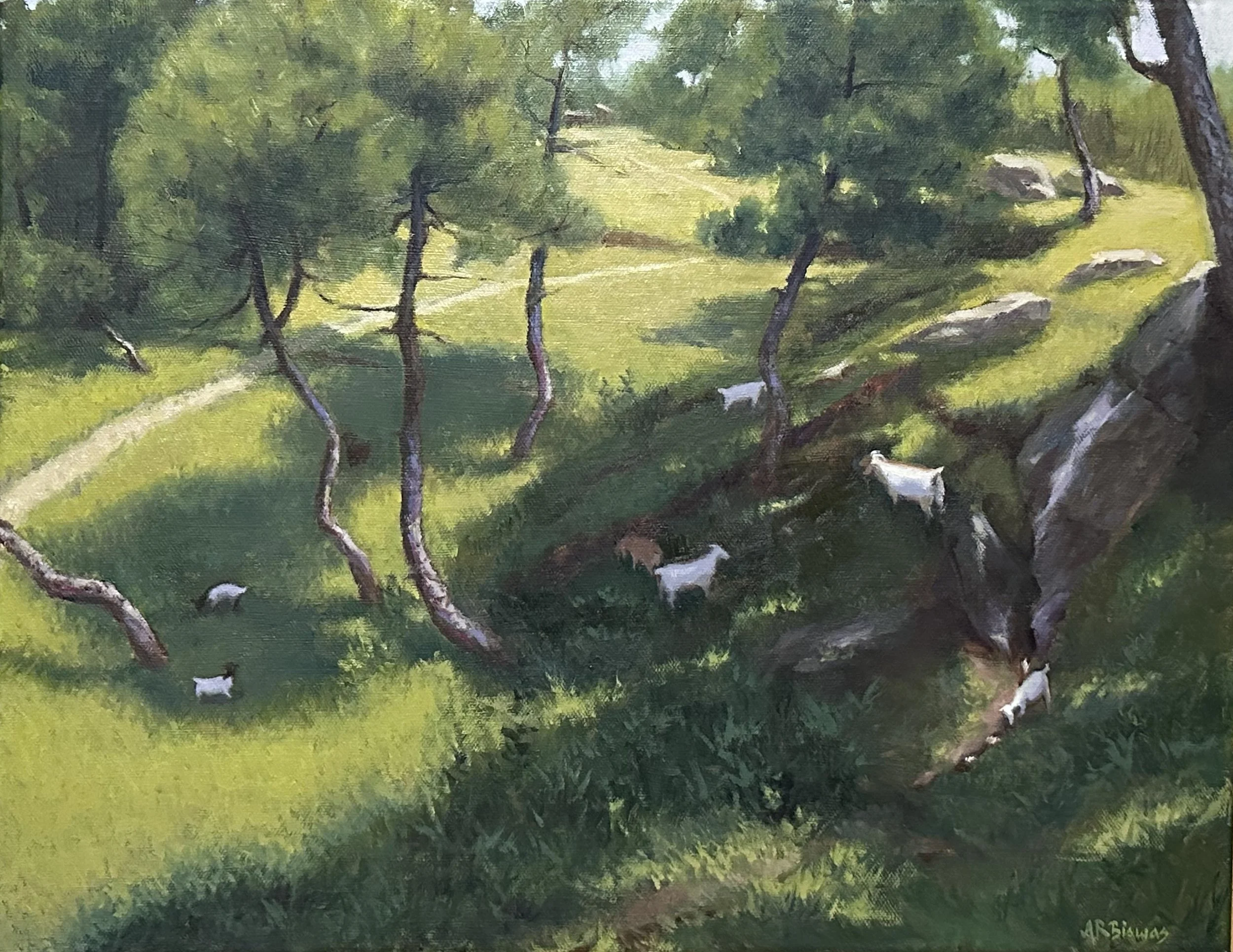 Grazing on the hill top 