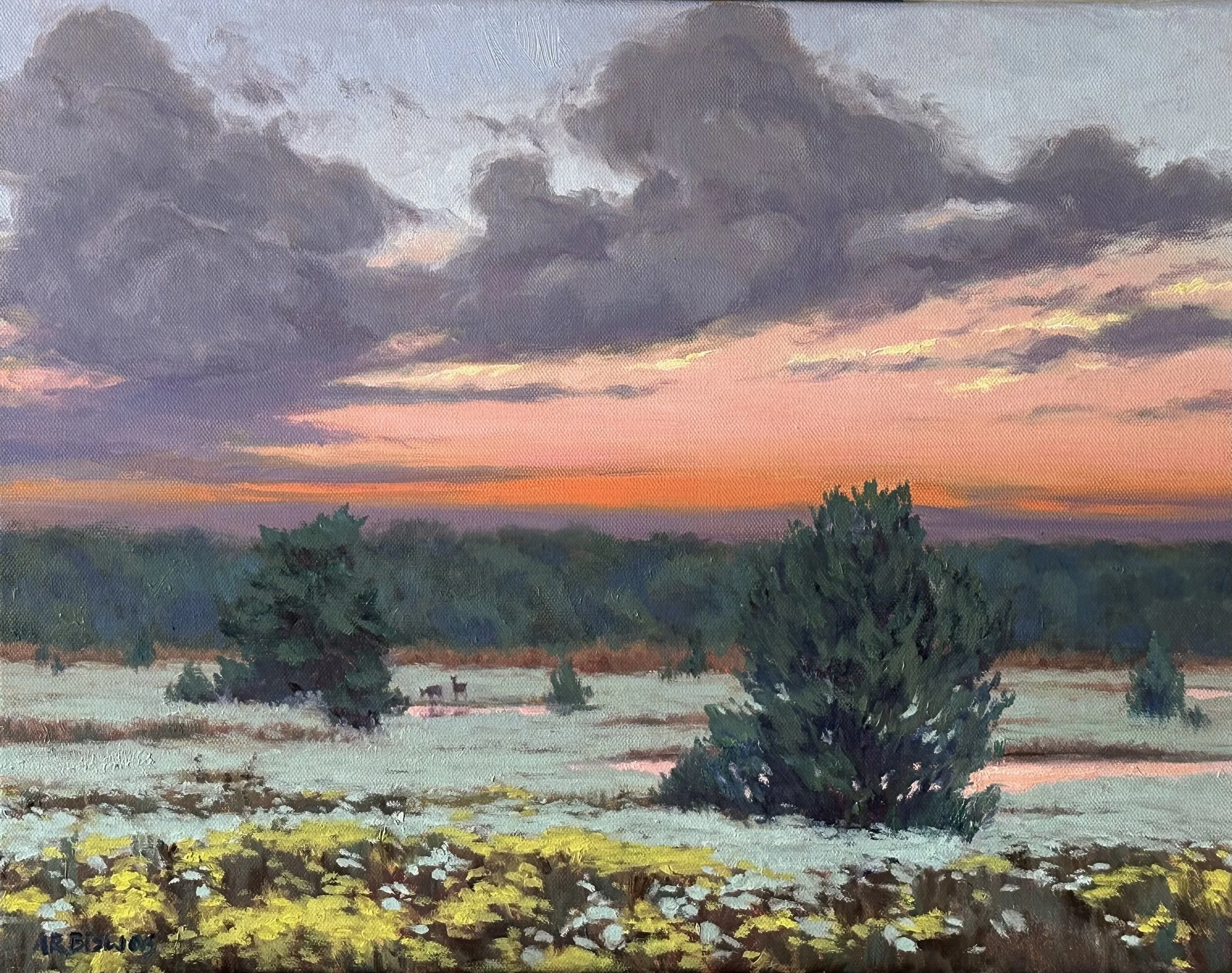 Sundown at the Shelby Farms park