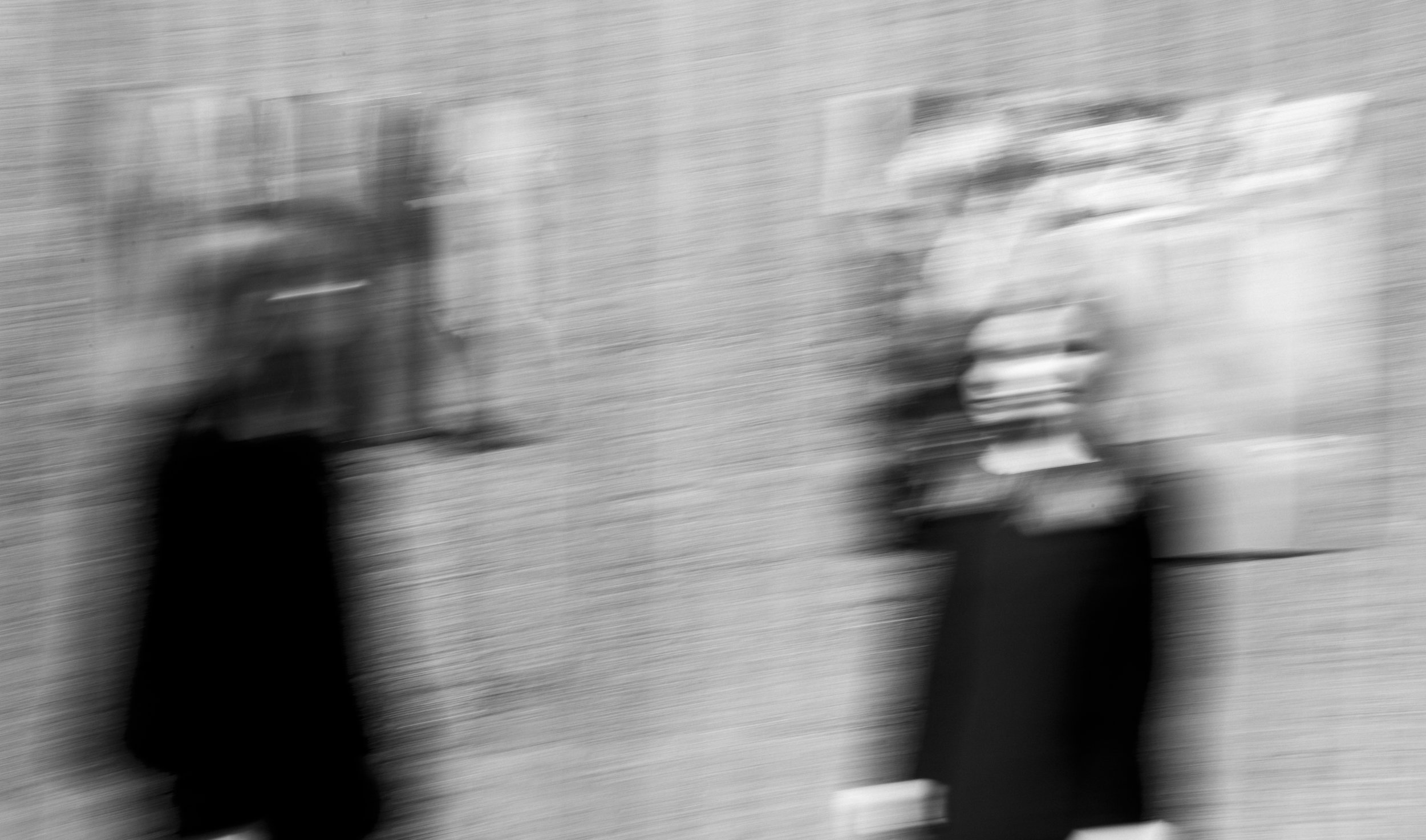 Metsänpeitto Meriheini ja Minna.JPG