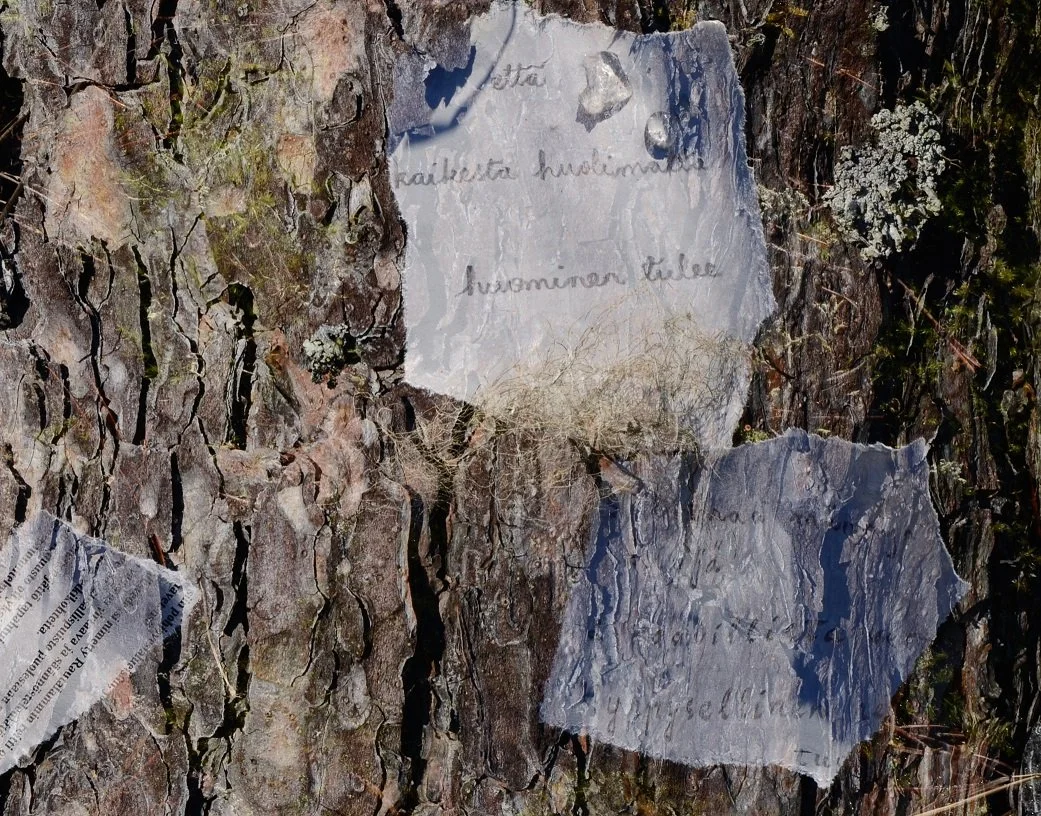 kestavan kulttuurin arkisto.JPG