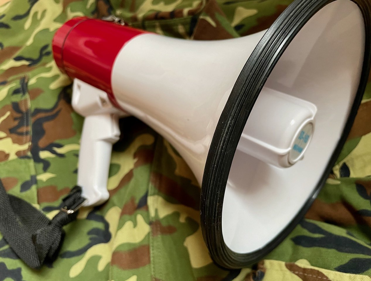 Holy Clown Megaphone .jpeg