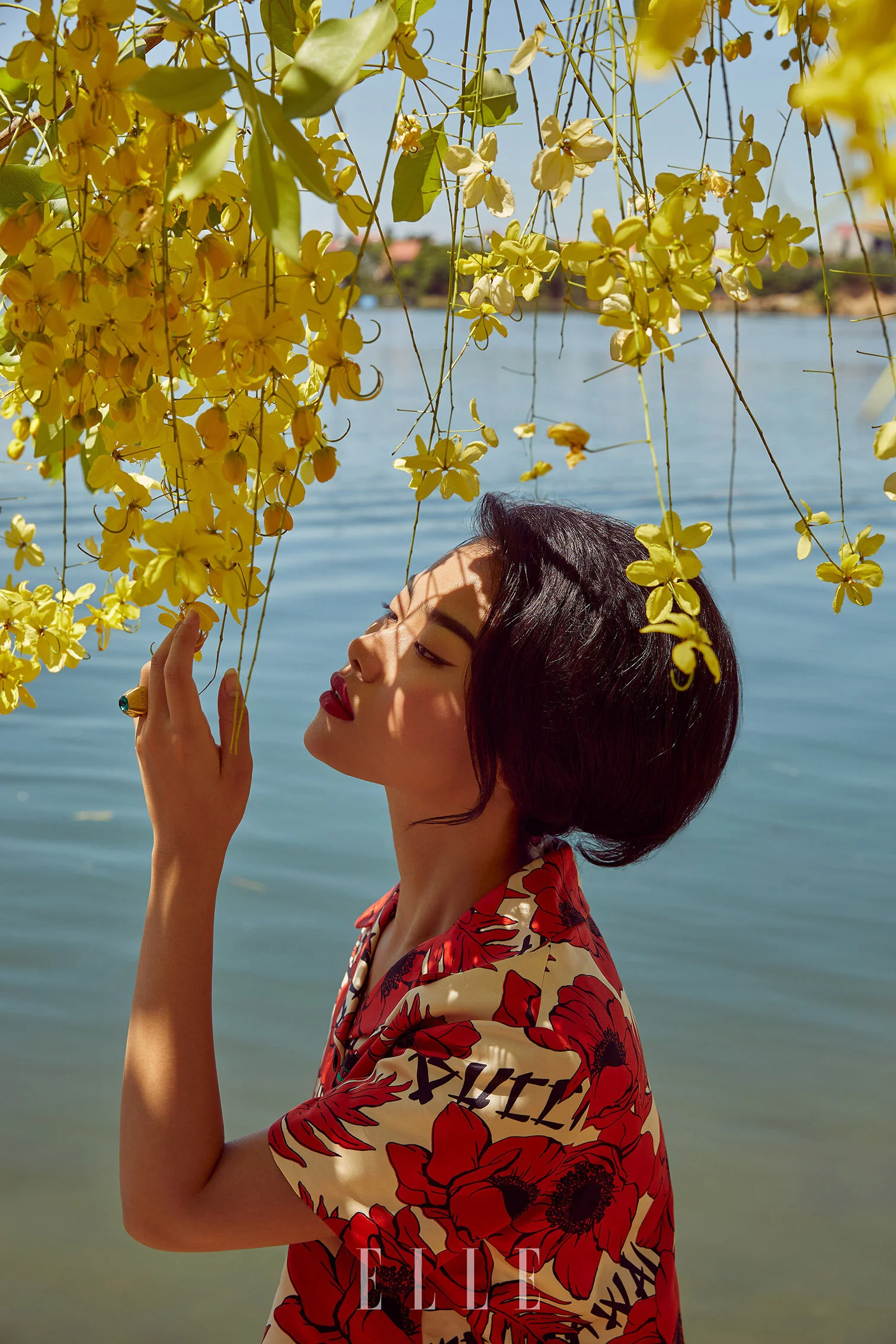 cover_I6A8874.jpg