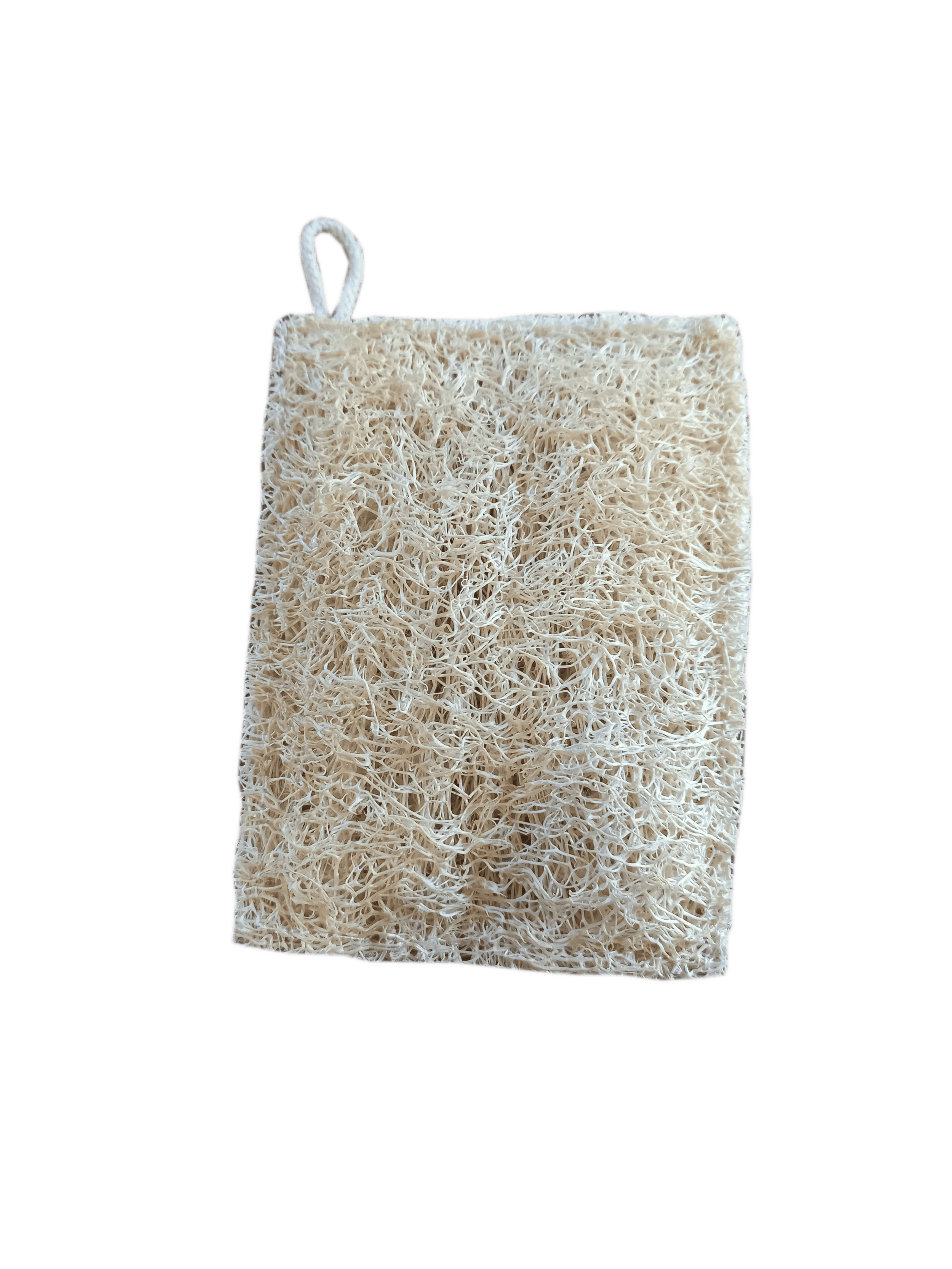 Loofah sponge_no BG.png