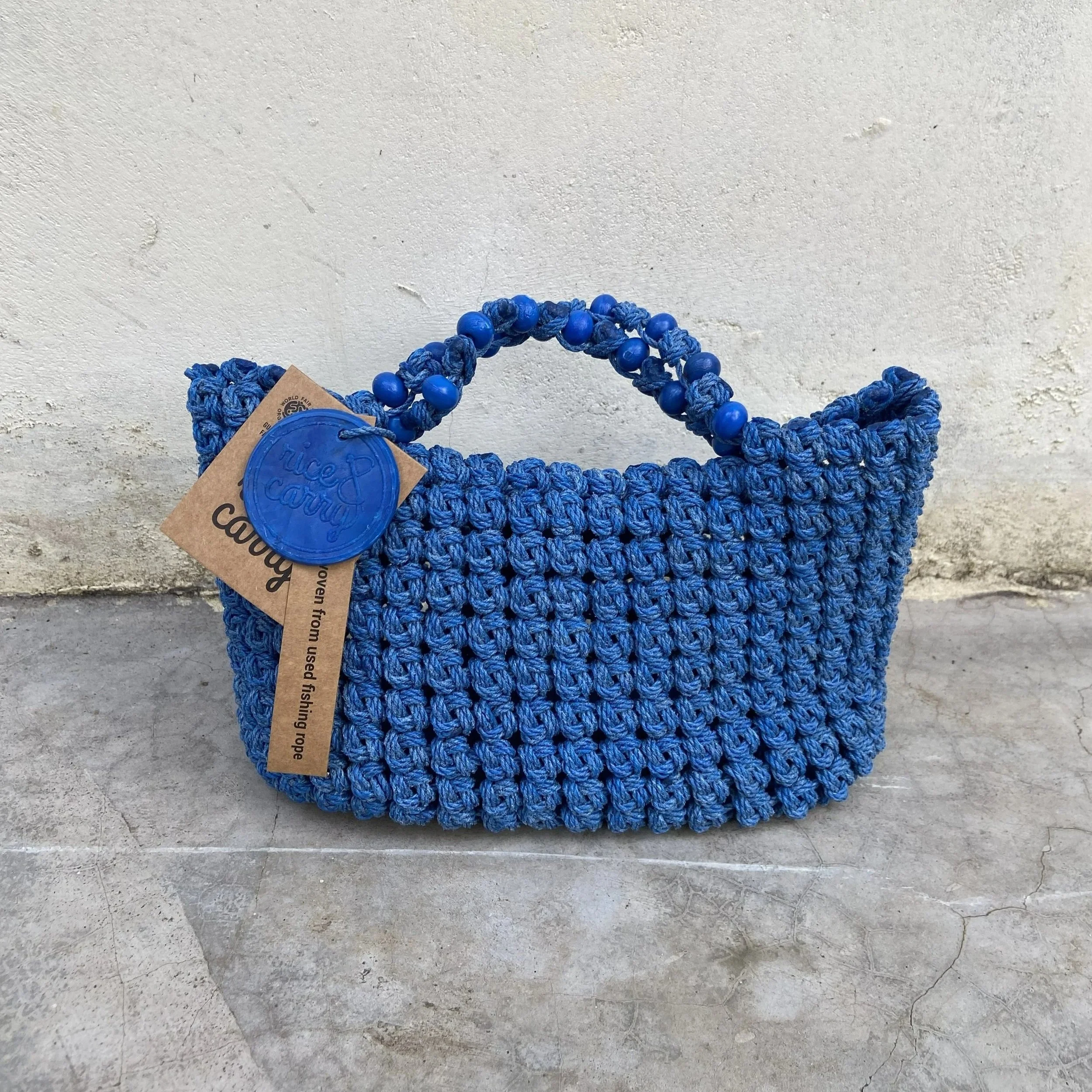 FR+Mini+blue.jpg