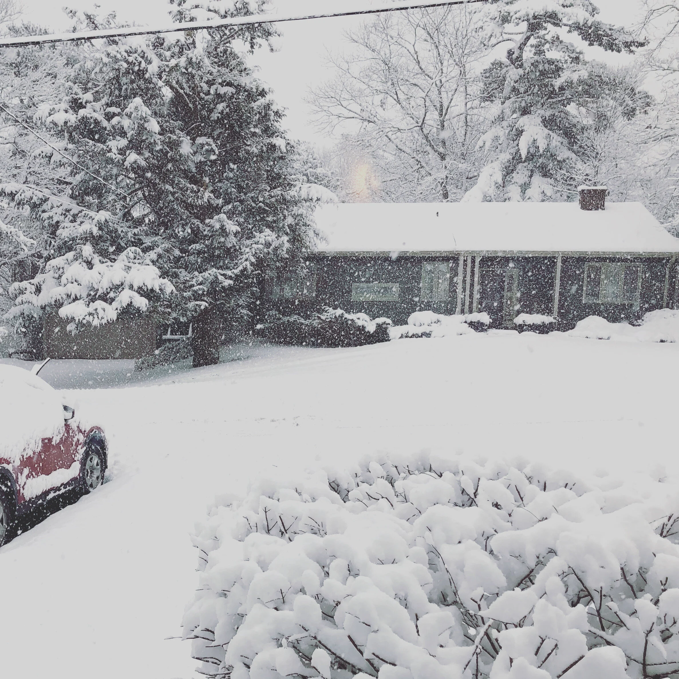 snowday.JPG