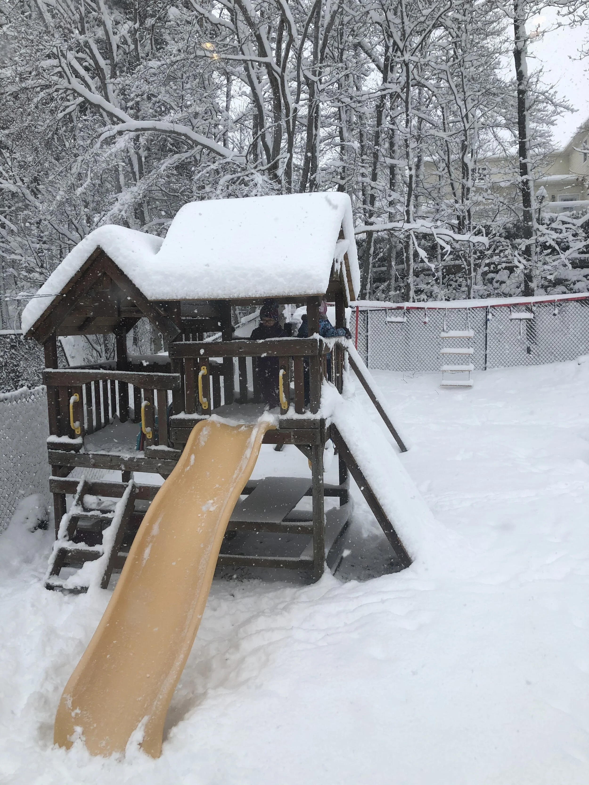 What did you do with your snow day?