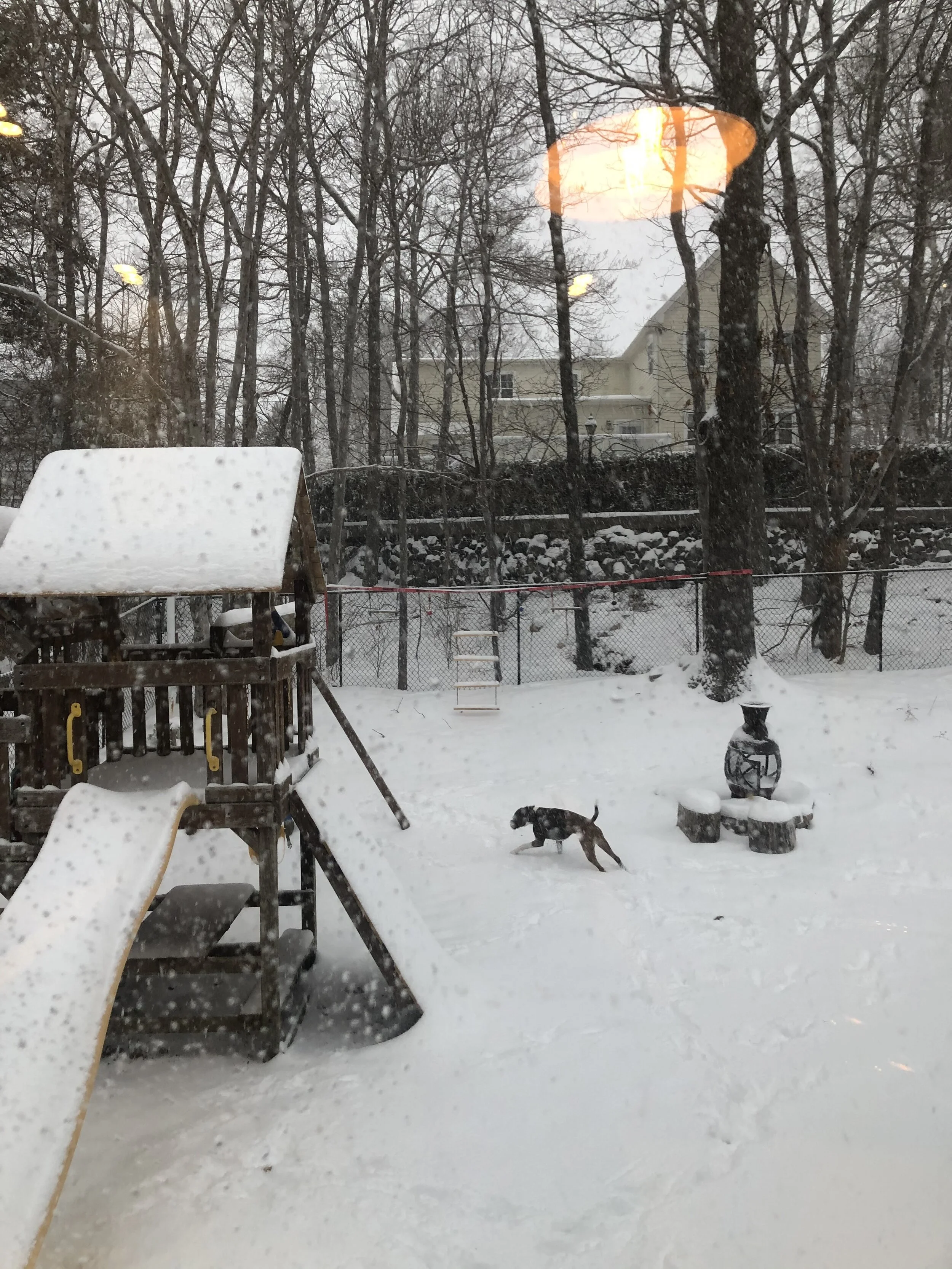 backyard snow.jpg