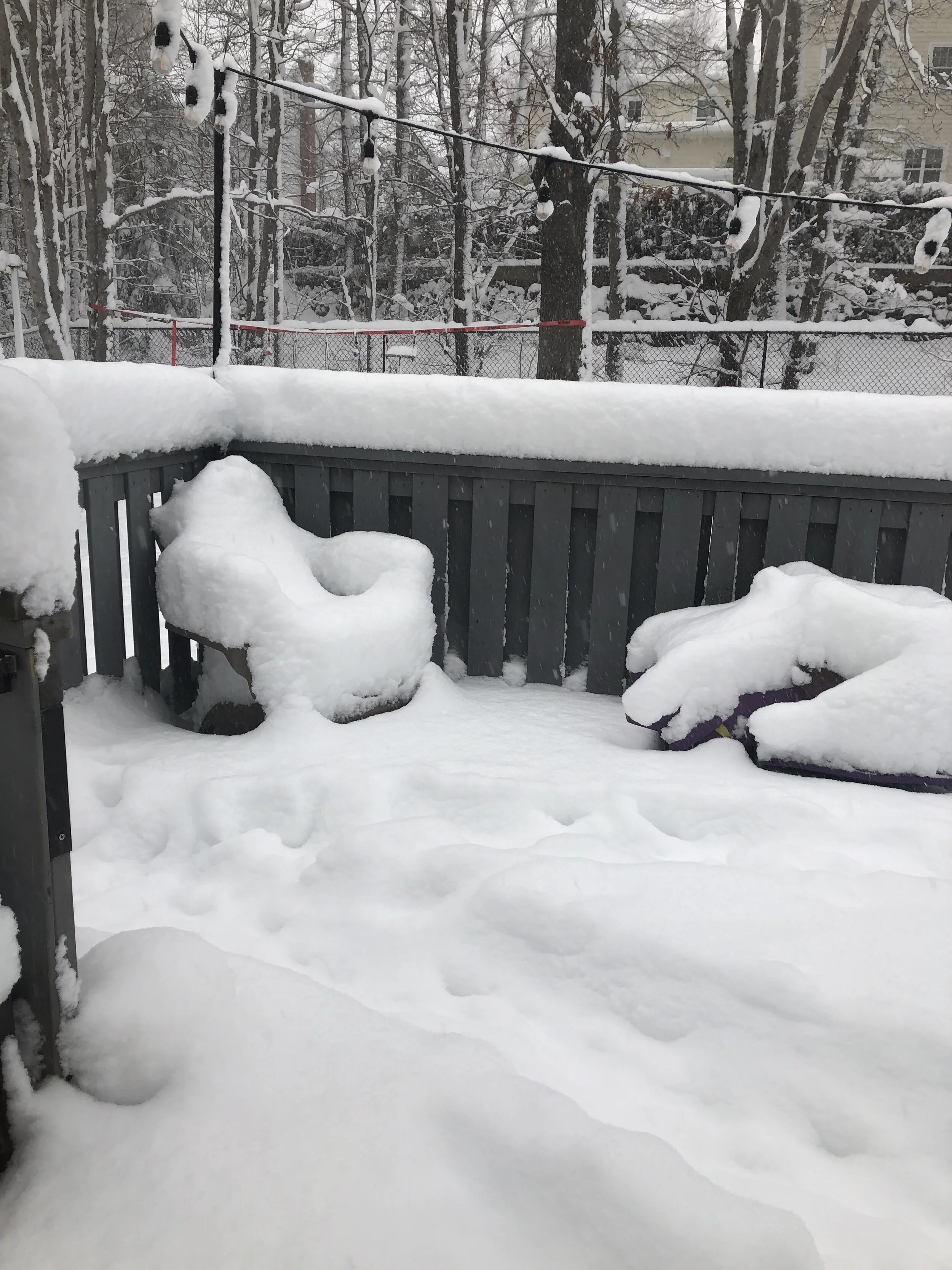 snow deck.jpg