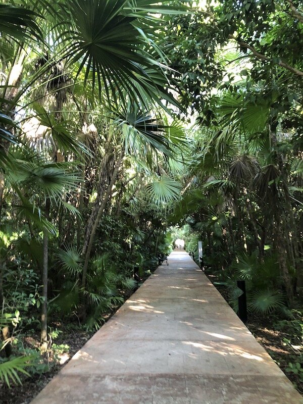 lush resort.jpg