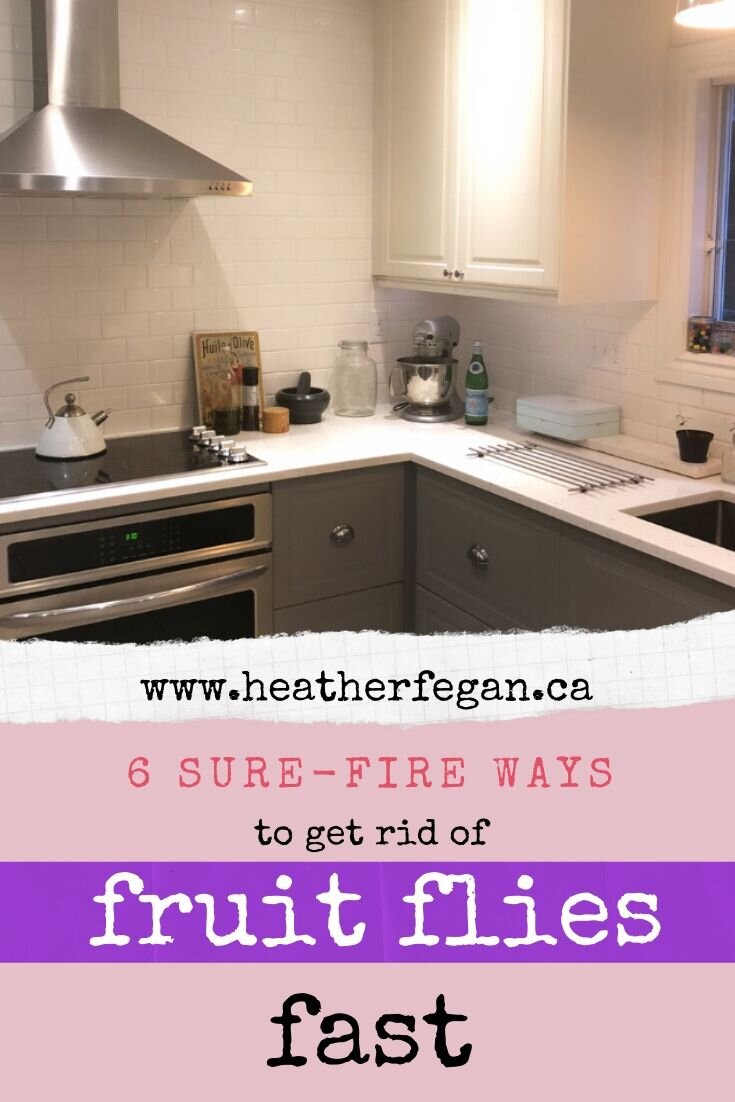 How to Kill Fruit Flies in Your Drain - How to Get Rid of Fruit Flies