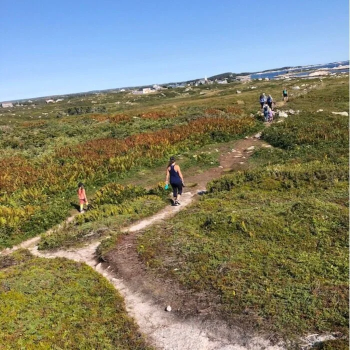 The Ultimate Hiking Guide for Families 