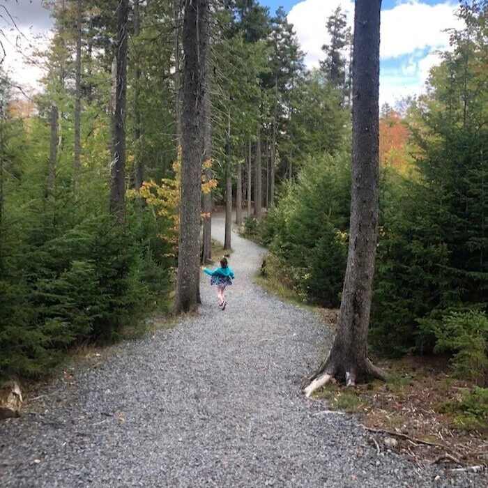 Hike Hemlock Ravine Park  in Halifax, Nova Scotia 