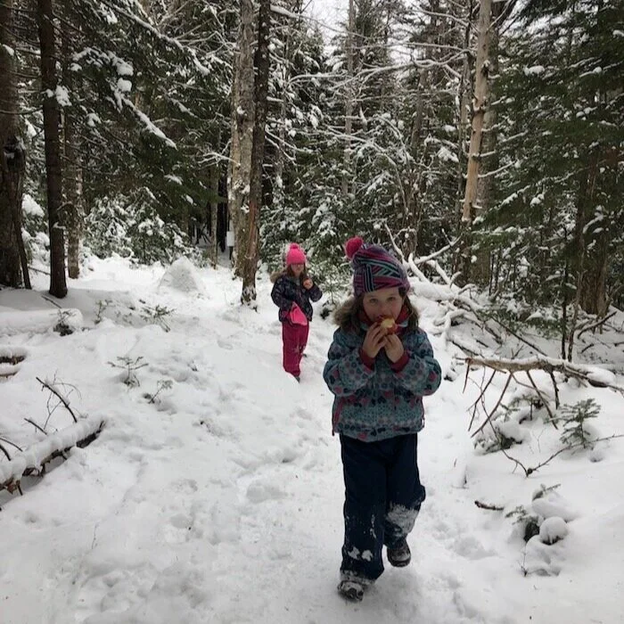 Hike Uniacke Estate Trails in Mount Uniake, Nova Scotia 