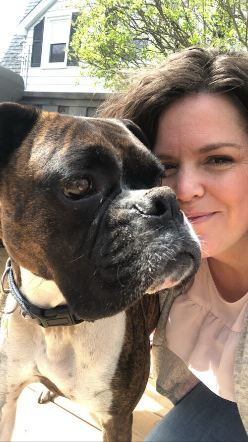 There's always a story - Dog Days