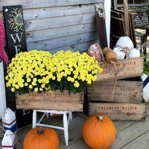 Autumn at your Doorstep
